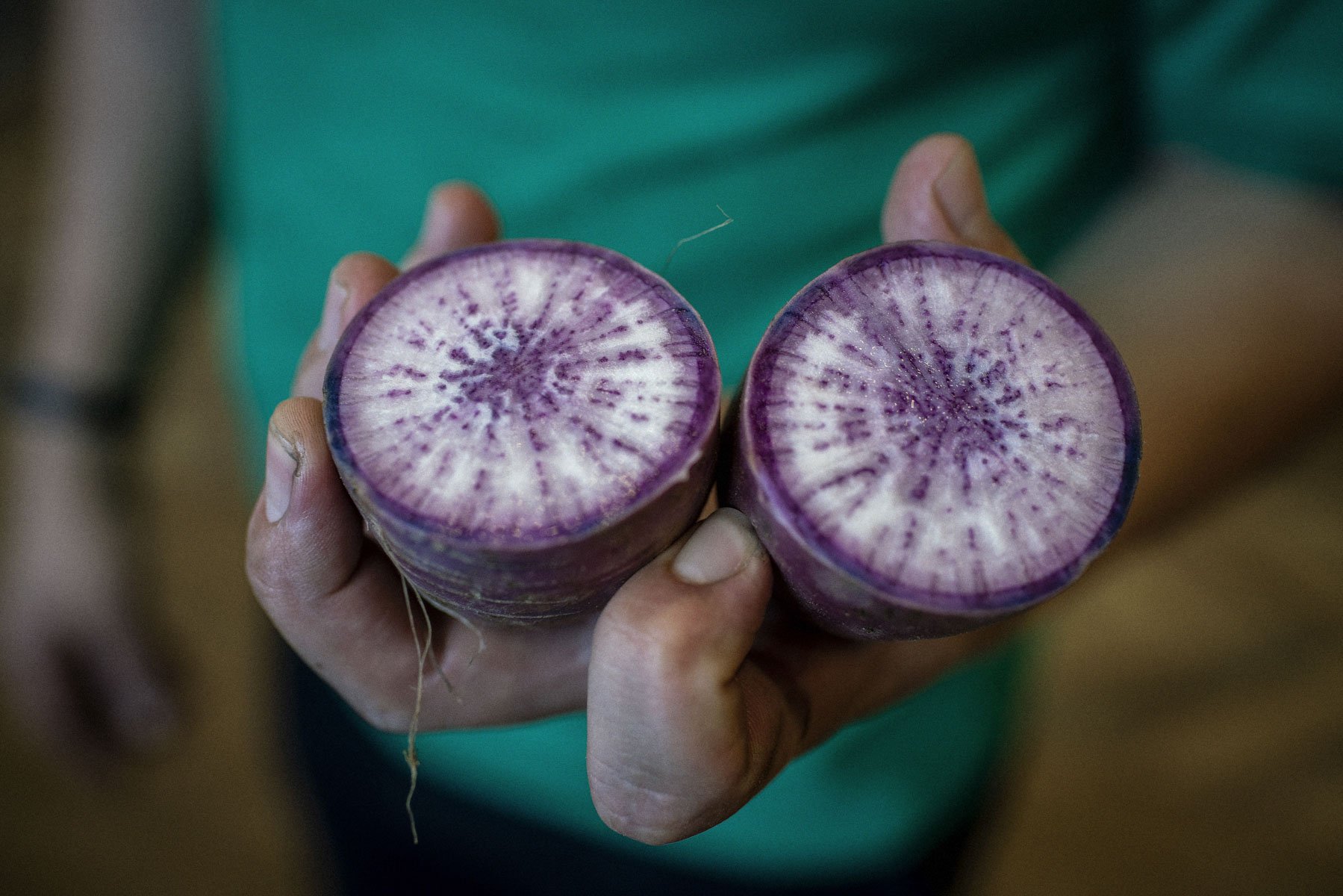 Alexander Rapaport holds a ninja radish. The ninja radish is rare variety originally developed in South Korea. This one was delivered from a farm in the Hudson Valley.