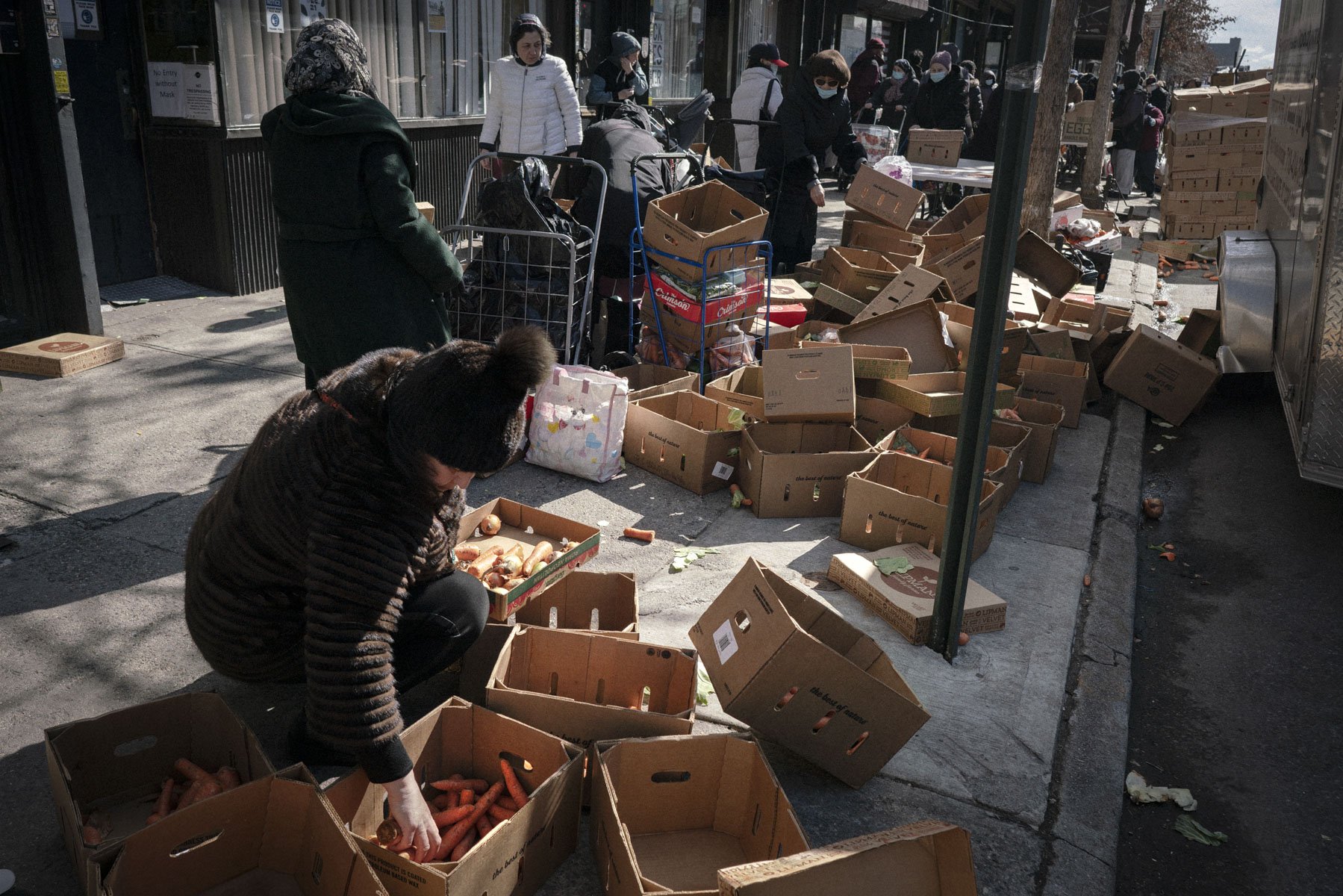 A woman gleans the last vegetables at COPO.