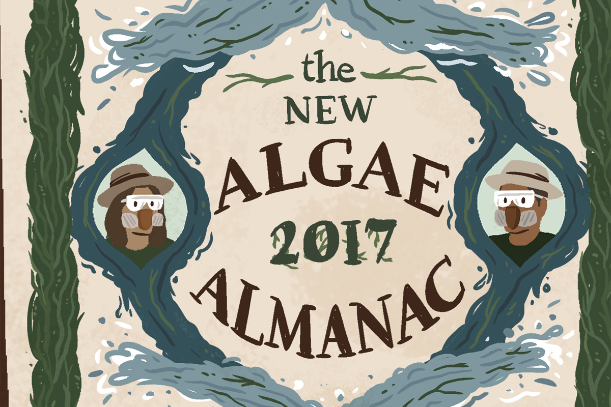 toxic algae almanac