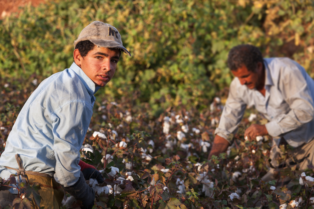 farmworkers