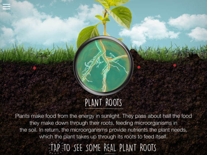 plant roots screenshot from the soil app