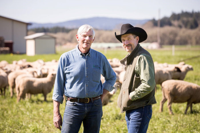 John Neumeister of Cattail Creek Lamb