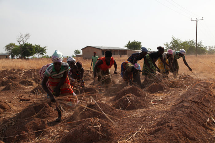 Members of Rural Women's Farmers Association of Ghana (RUWFAG) preparing a field for sowing - Near Lawra, Ghana. (Photo CC-licensed by Global Justice Now)