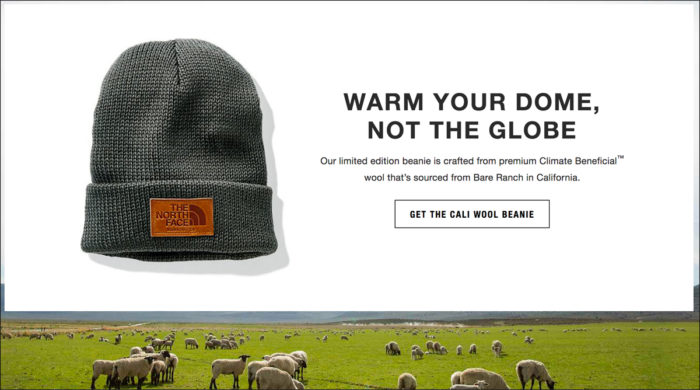 The North Face's promotion of the Cali Wool Beanie.