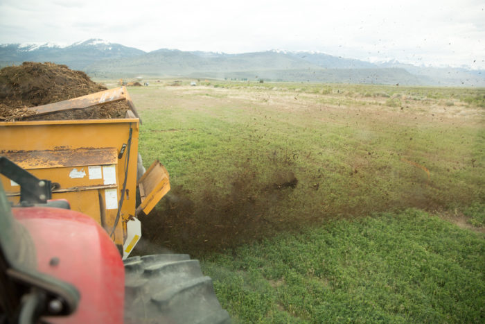 Spreading compost at Bare Ranch. (Photo credit: Paige Green)