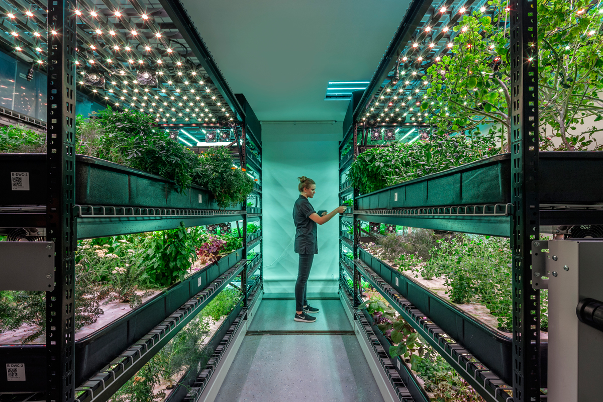 A farm.one indoor farming operation. (Photo courtesy of farm.one)