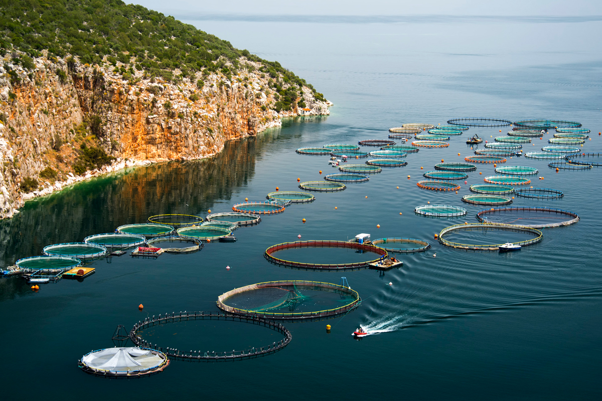 A fish farm off the coast of Greece. (Photo CC-licensed by Artur Rydzewski)