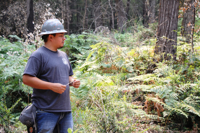 As a summer intern on the Six Rivers Forest, Jonathan White, a student at Salish-Kootenai College in Montana, is helping to monitor how plants return to this area, burned in 2016 as a Forest Service and Karuk Tribe research plot.