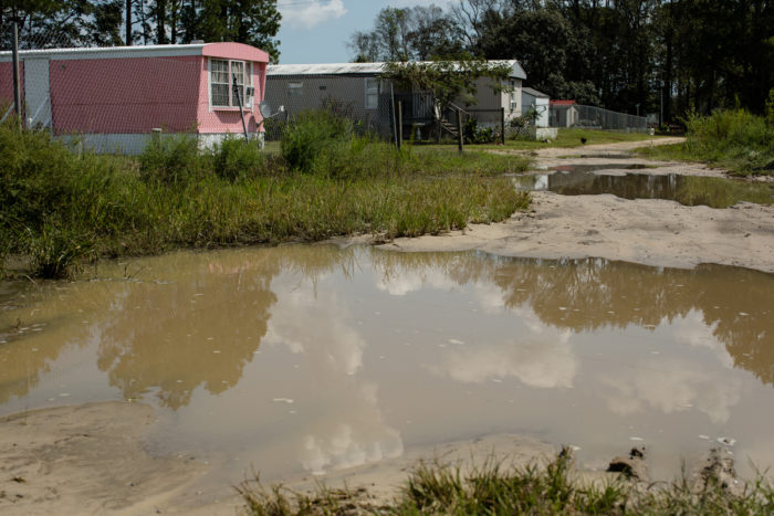 Flooding subsides a week after Hurricane Florence in Lenoir County, N.C. Photo by Justin Cook.