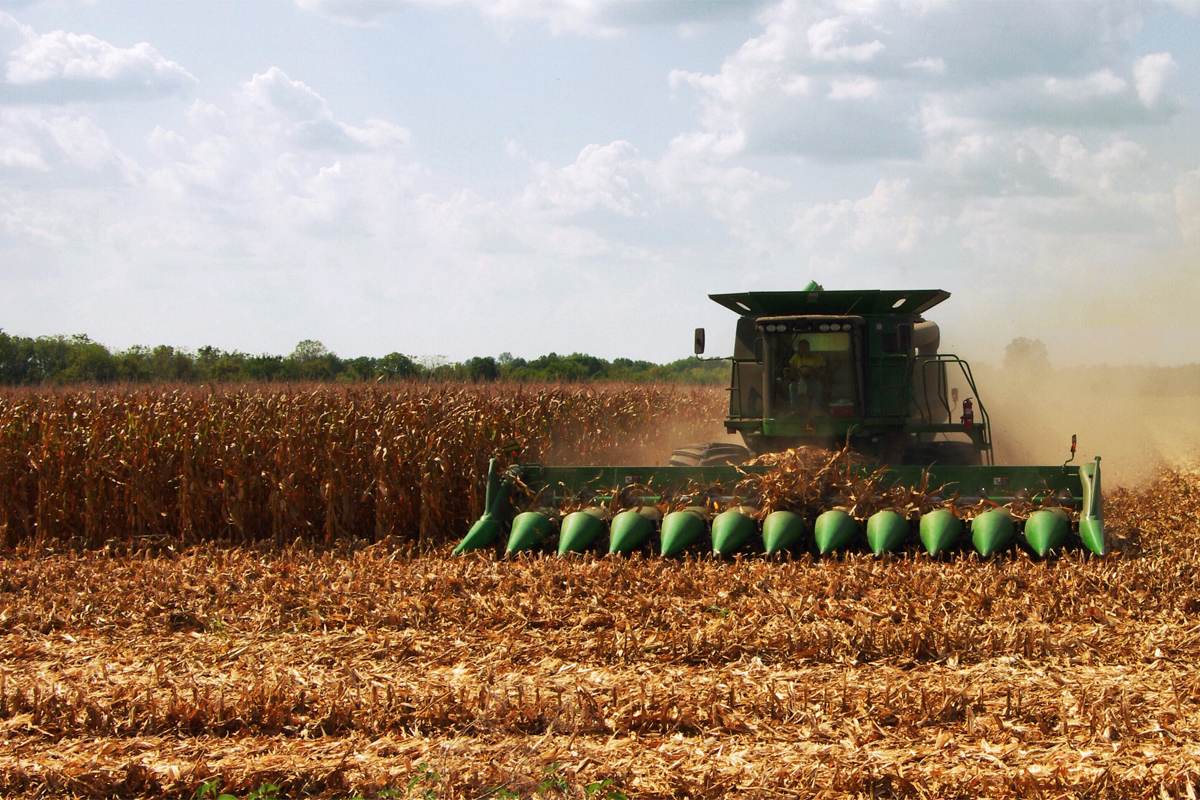 Farmer drives a combine in Midwest grain field to harvest mature corn. Photo by Phil Rozenski, Shiloh, IL