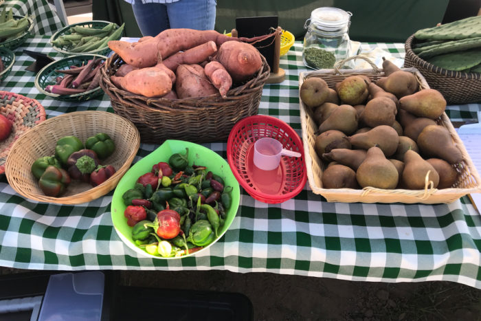 Part of the harvest from the TigerMountain Foundation's urban farm.