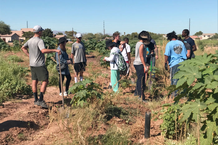 Working in the TigerMountain garden.