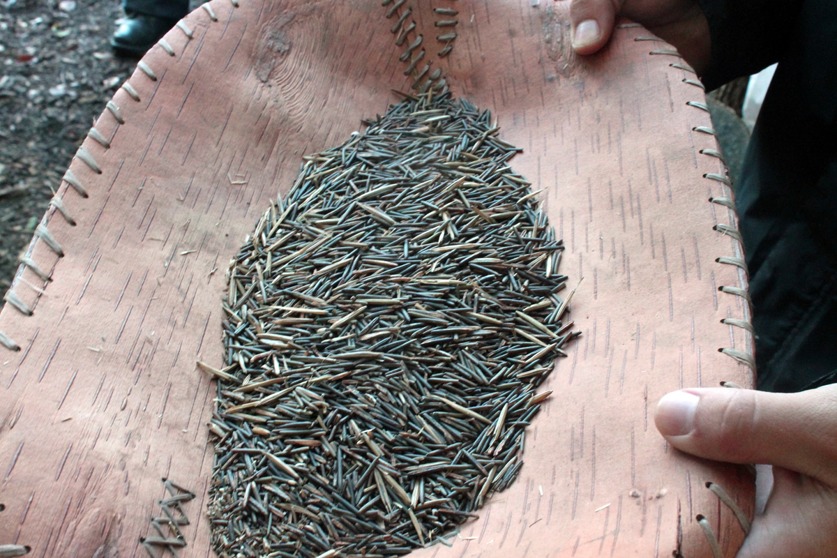 hands holding a bowl of manoomin wild rice