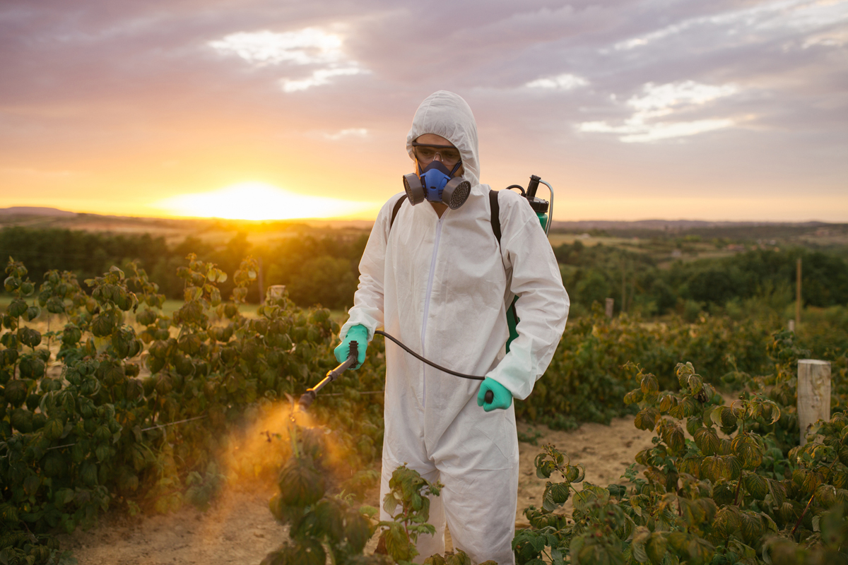 man spraying pesticides in a farm field