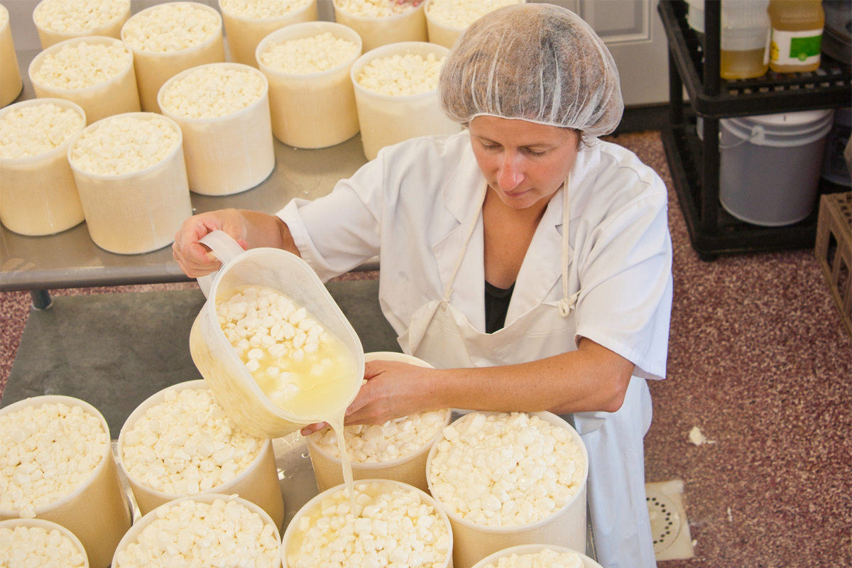 Chapel’s Country Creamery farm owner Holly Foster in Easton, MD pours milk curd of fresh raw milk. (USDA photo by Bob Nichols)