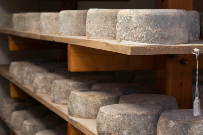 Cheese rounds that have been inoculated with mold cure in the aging room to produce Chapel’s Country Creamery, “Bay Blue” cheese. (USDA photo by Bob Nichols)