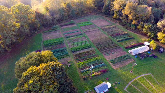 Dark Wood Farm from above. (Photo courtesy of Dark Wood Farm)