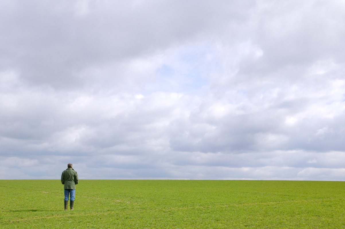 farmer standing alone in an empty field of his zero-sales farm