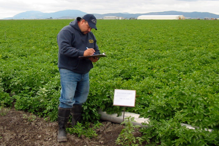 Commodity inspection photo by the Oregon Department of Agriculture