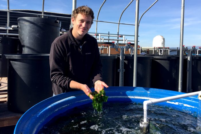 Luke Gardner, at the tanks where wild harvested seaweed is cultivated. (Photo courtesy of Luke Gardner)