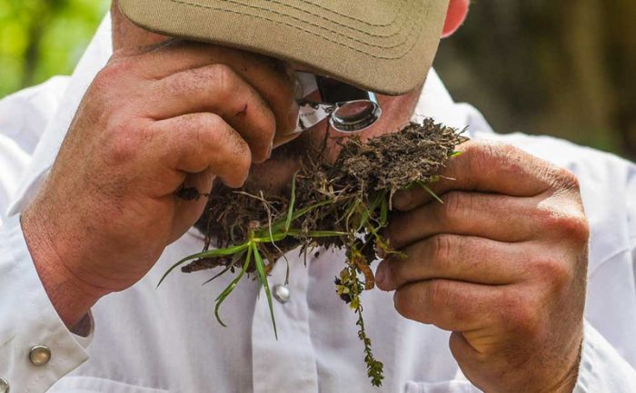 Inspecting the soil health at White Oak Pastures. (Photo courtesy of White Oak Pastures)