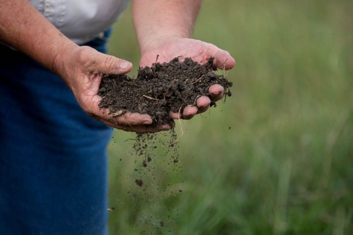 Will Harris holds healthy soil at White Oak Pastures. (Photo courtesy of White Oak Pastures)