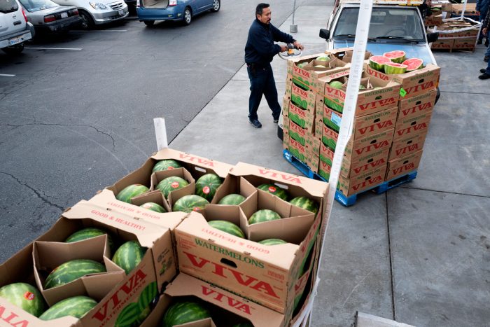 Recovering watermelons for Food Forward. (Photo © Vanessa Bly)