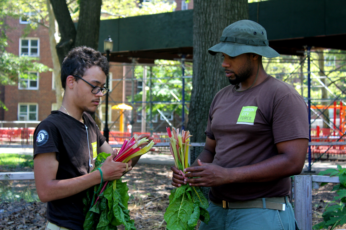 Green City Force team leader CheVon Cooper (right) and Americorps member Manuel at the Forest Houses gardens. (Photo by Robert Cowan)