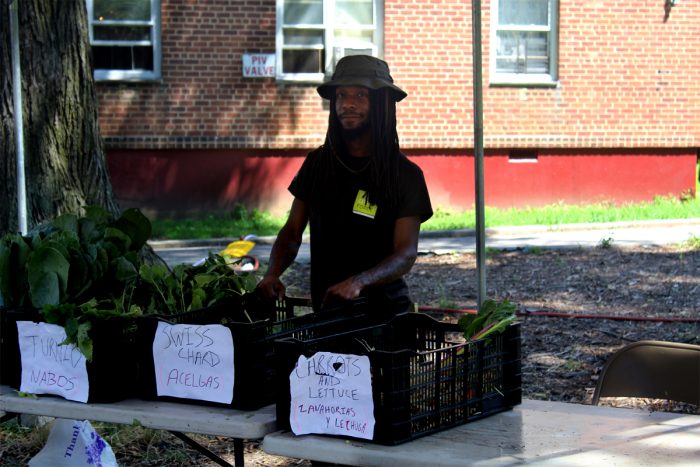 The farm stand at Forest Houses. (Photo by Robert Cowan)