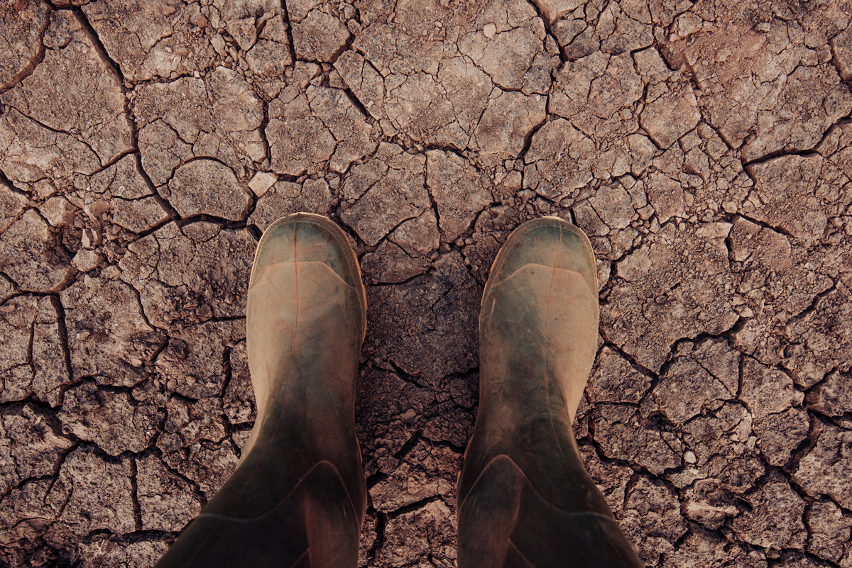 Boots standing in dry soil in a farm field