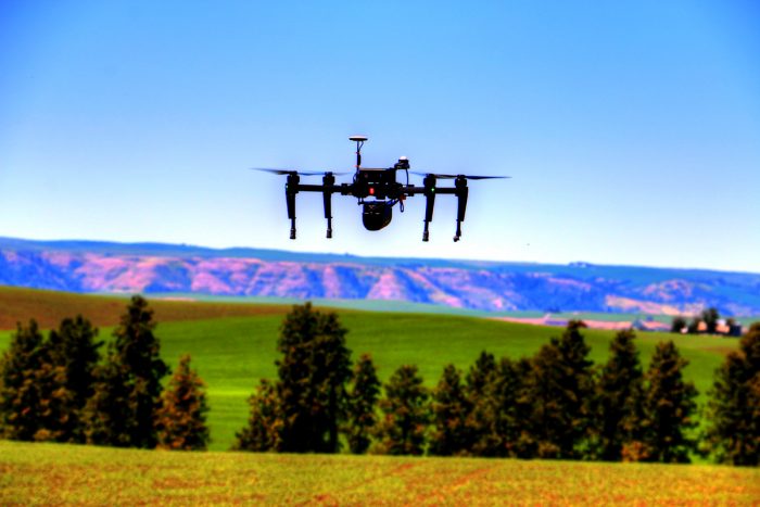 A quadcopter drone flies over a garbanzo field. (Photo courtesy of Robert Blair)