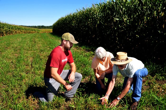 Tim Youngquist of Iowa State University (left) with Larry and Margaret Stone at their prairie strips near Traer, IA. This is a first year of growth after frost seeding in January of 2016. Prairie strips have been mowed to keep weeds down. September 2016.