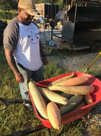 Jon Jackson admires a wheelbarrow full of North Georgia Candy Roaster squash at Comfort Farms. (Photo by Allison Salerno)