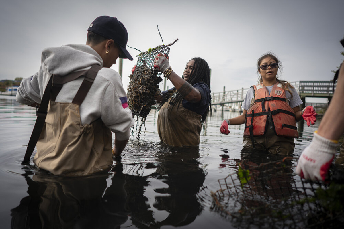 Tanasia Swift (center), the Community Reefs Regional Manager at the Billion Oyster Project takes oysters from the Paerdegat Basin in Canarsie, Brooklyn to be monitored by students who were invited to learn about the waterway and the role oysters have in it.