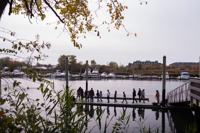 PS 115 Students end the day by heading down to the dock to see oysters and the creatures that live in them closer to their habitat. Though the students’ school is within a mile of the water, many had never before visited the shore. This workshop provided them the chance to enter a living laboratory.