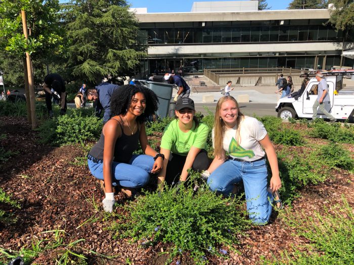 Herbicide-Free UC volunteers working to manage the landscape on campus without glyphosate