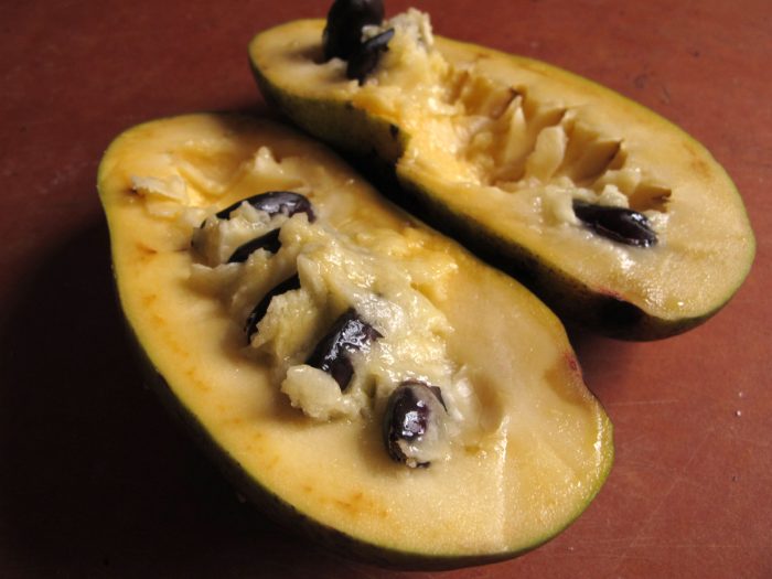 The inside of a pawpaw fruit.