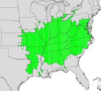 A 1999 map of the pawpaw's natural growing range.