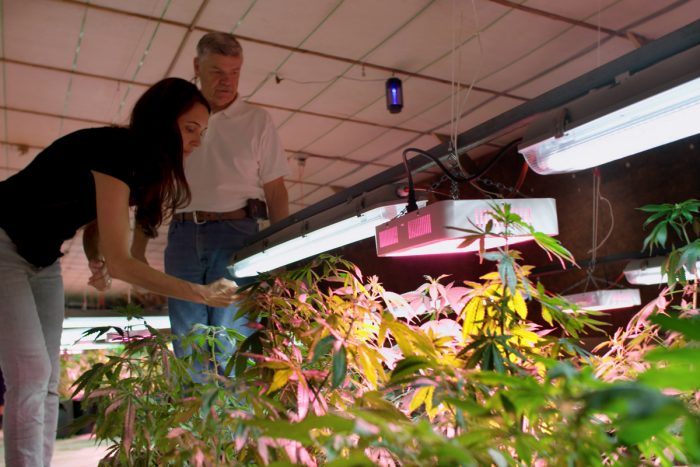 Leah Garcés and Mike Weaver inspect Weaver's indoor hemp cultivation operation. (Photo credit: Mercy for Animals)