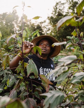 Germaine Jenkins inspects the crops at Fresh Future Farm in North Charleston, South Carolina. (Photo by Elizabeth Ervin.)