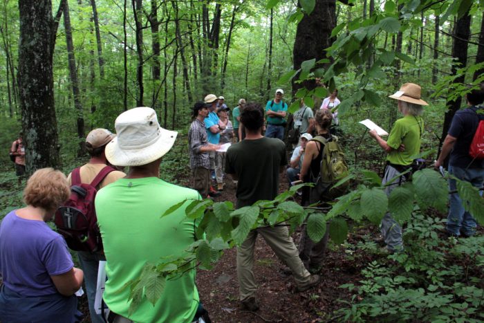 Appalachian Beginning Forest Farmer Training. (Photo by Priya Jaishanker)