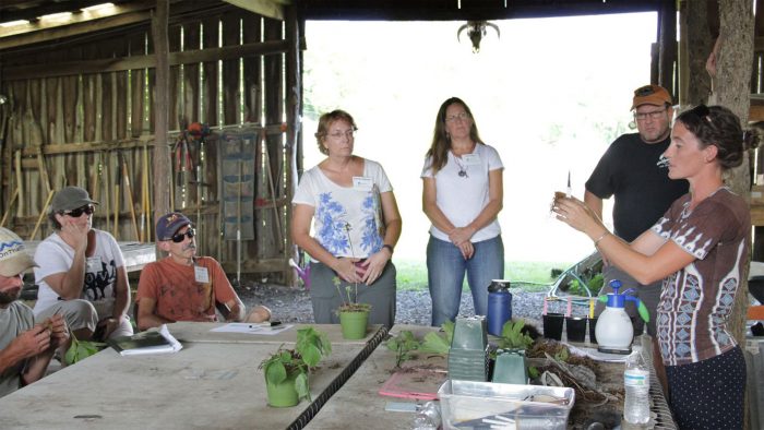 ABFFC training session with Margaret Bloomquist and Jeanine Davis. (Photo by Priya Jaishanker for Appalachian Forest Farmers)