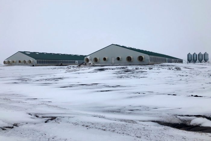 A new hog CAFO near Nevada, Iowa.