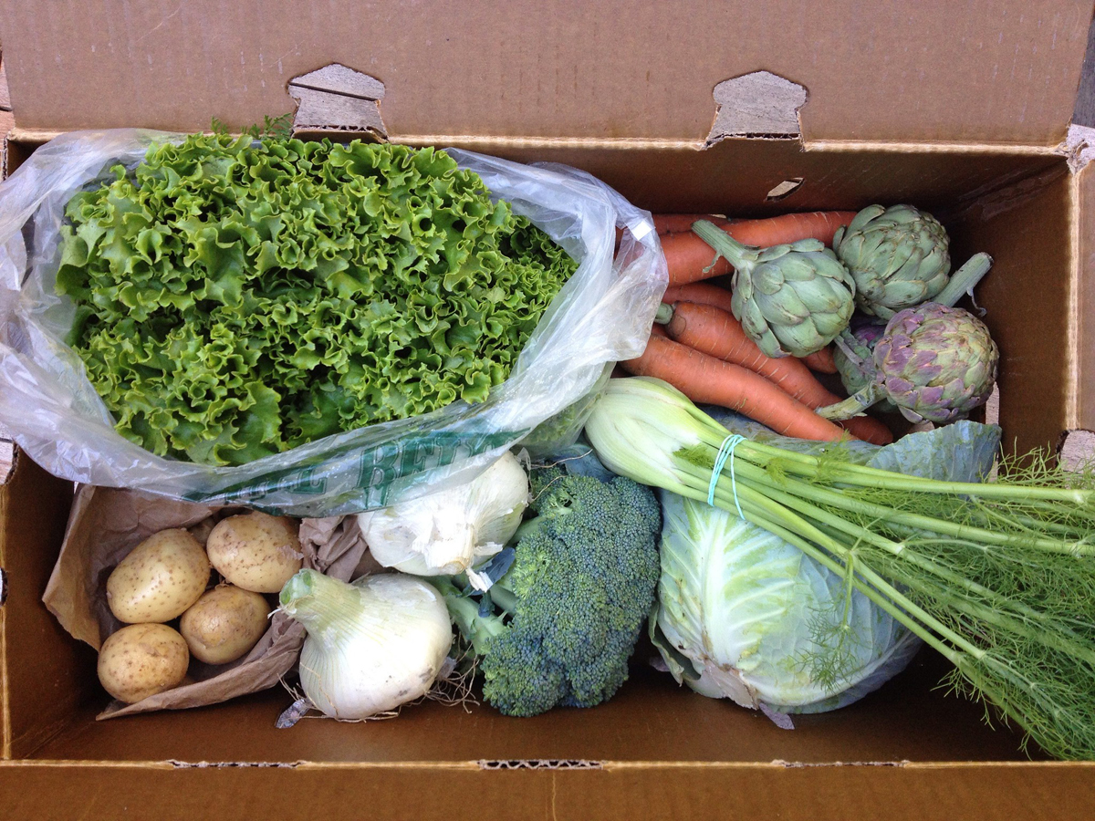 A CSA box share