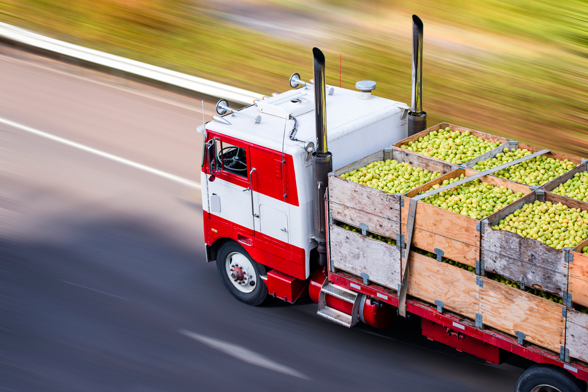 a big rig truck hauling fresh food from the farm to the market as part of a food distribution supply chain