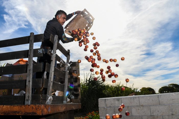 A farm employee composts unwanted produce. USDA photo by Lance Cheung.