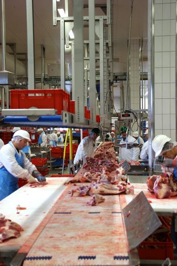 slaughterhouse meatpacking workers on the line. Photo CC-licensed by Jai79 on Pixabay.