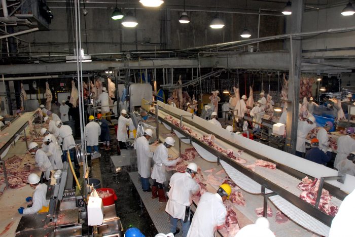 meatpacking workers in a slaughterhouse. USDA photo by Alice Welch