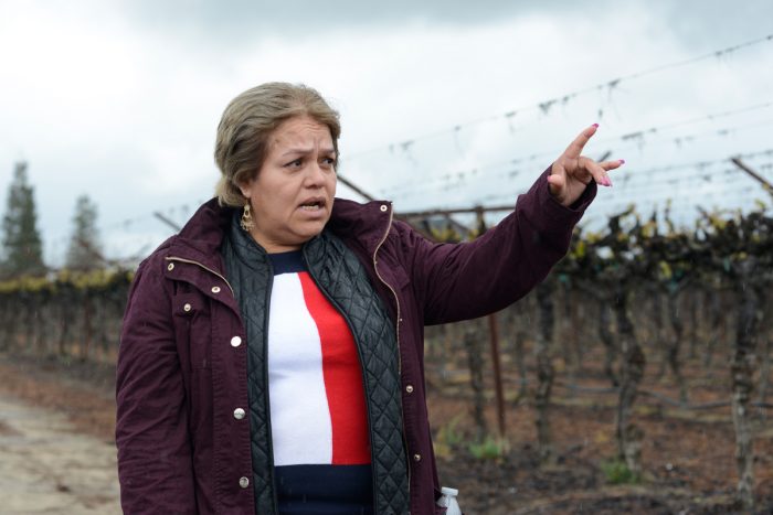 Rogelia Sánchez in the field where she was sprayed. (Photo by Chris Richard)