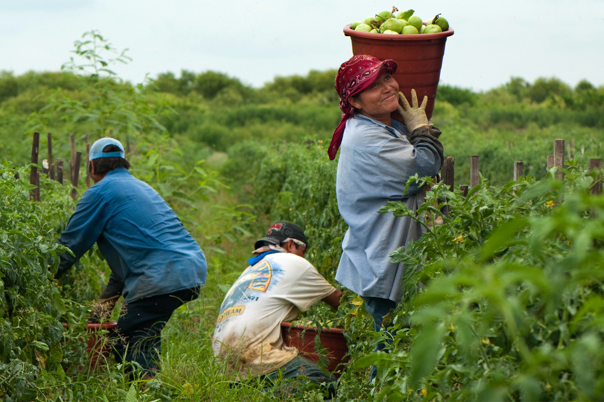 Coalition of Immokalee Worker carrying produce. Photo from iStockphoto.com.